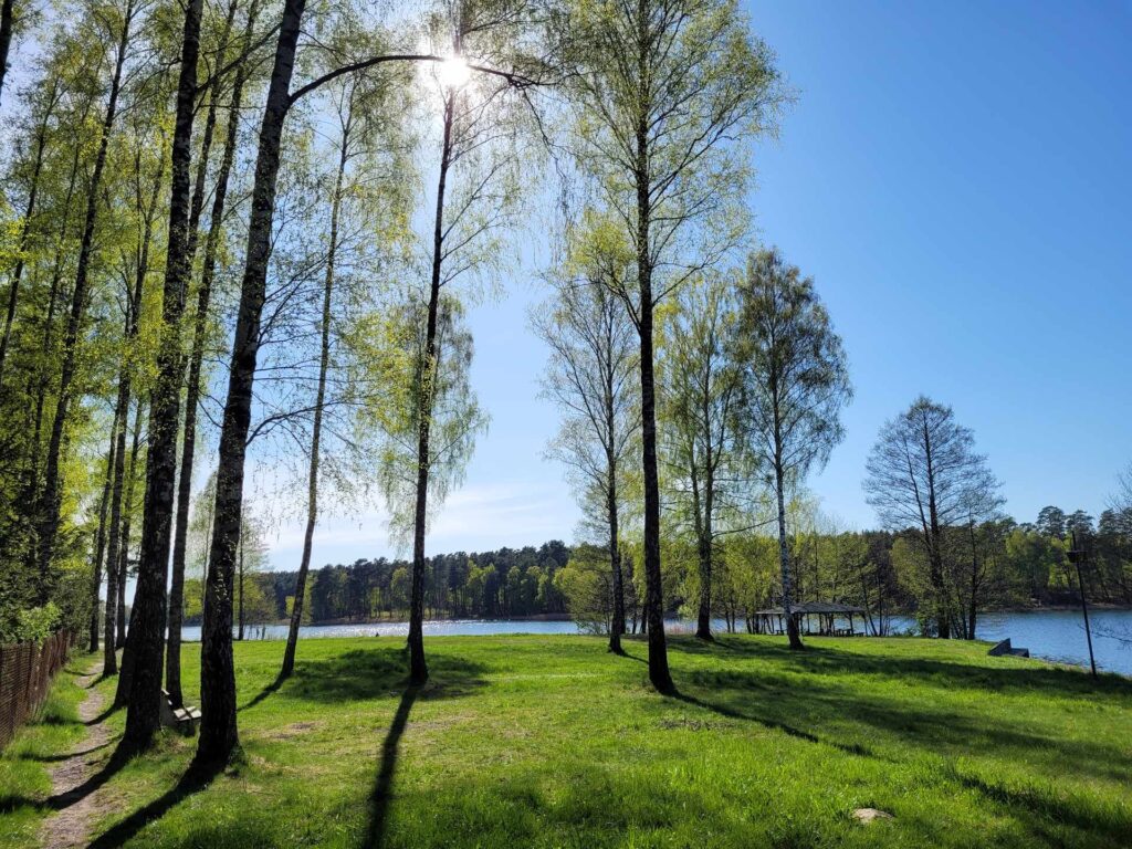 widok na jezioro