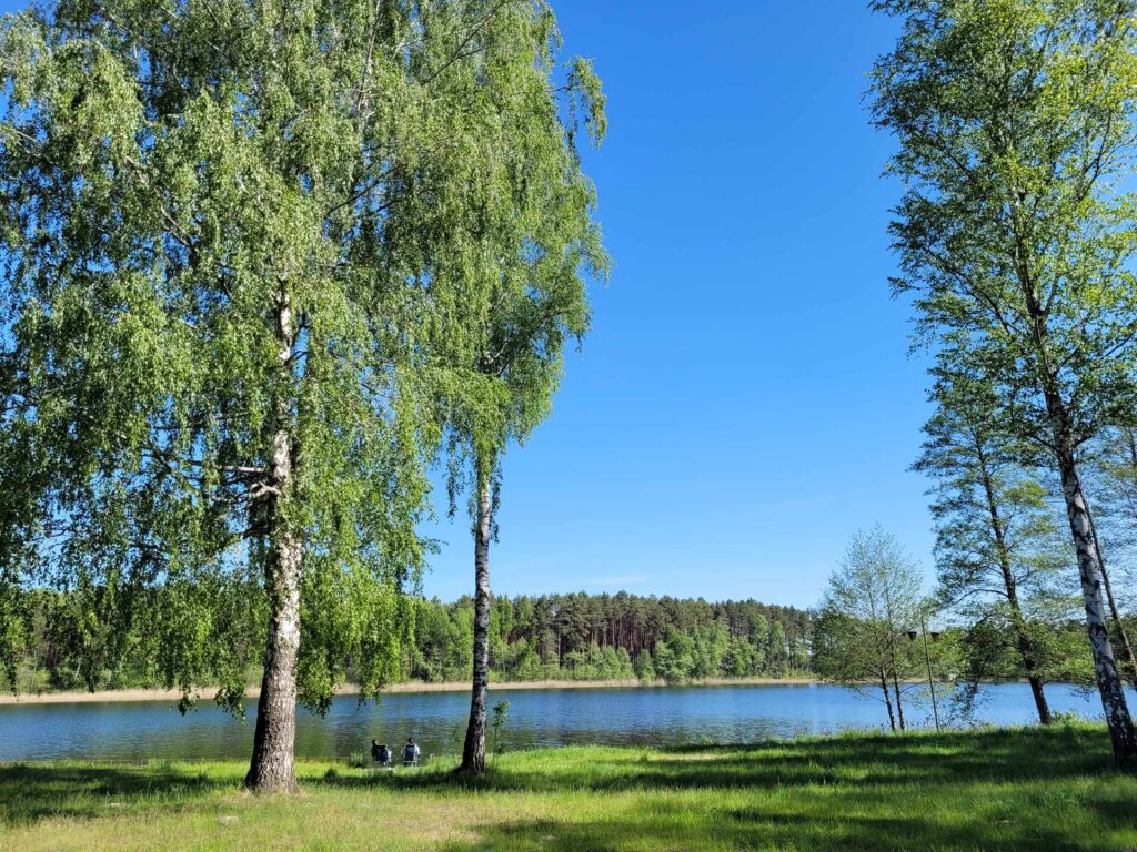 widok na jezioro