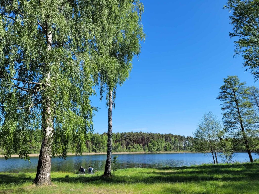 widok na jezioro