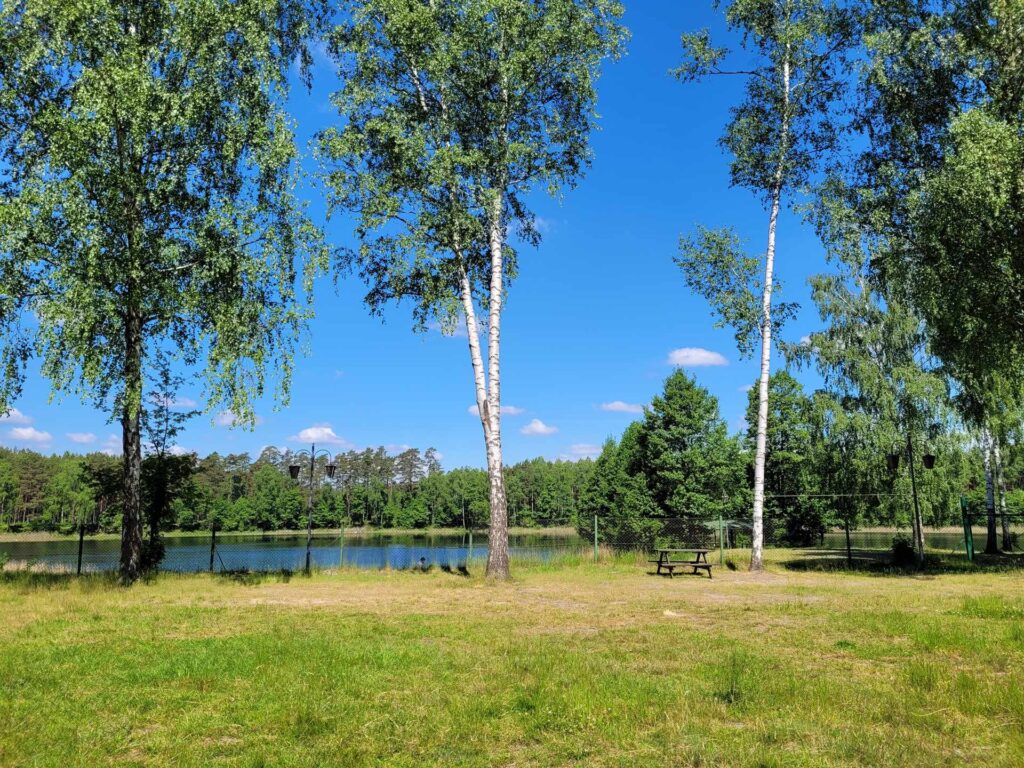 widok na jezioro