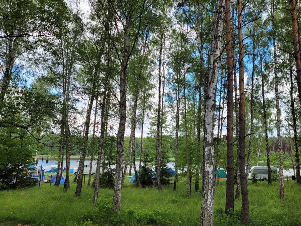 pole campingowe