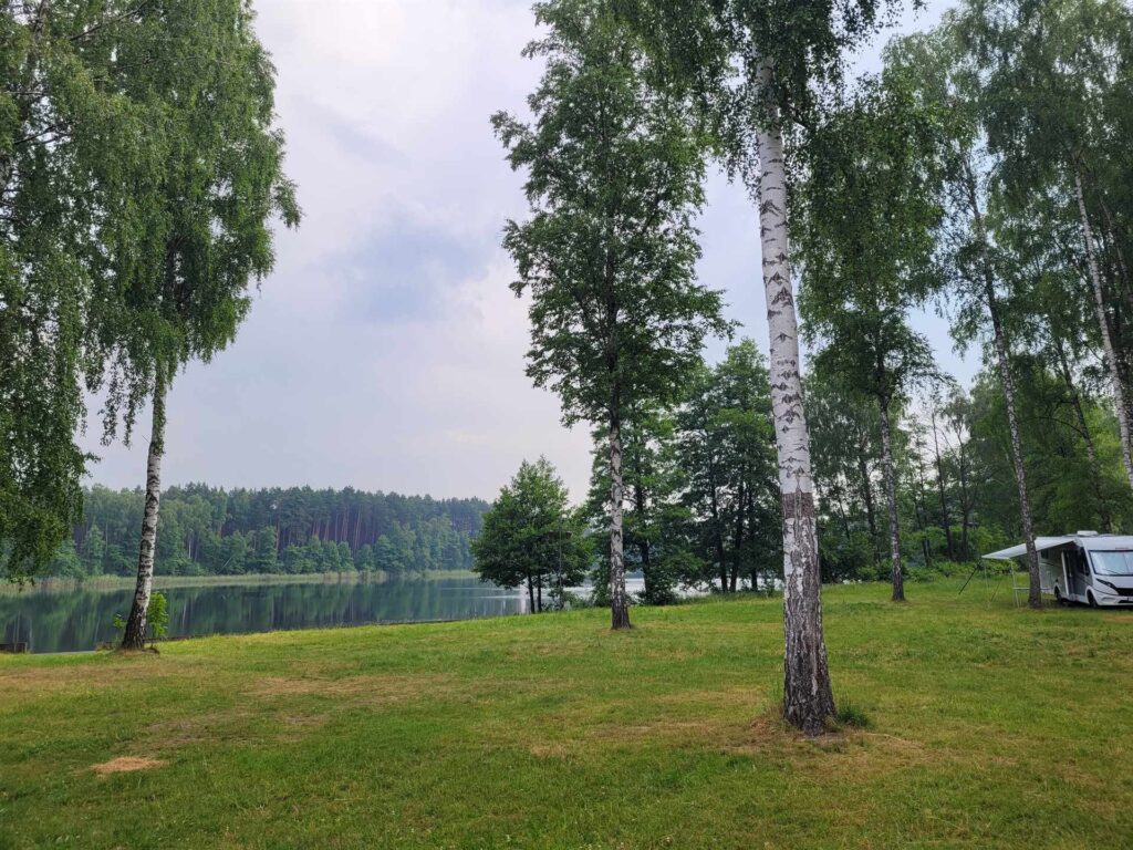 pole campingowe